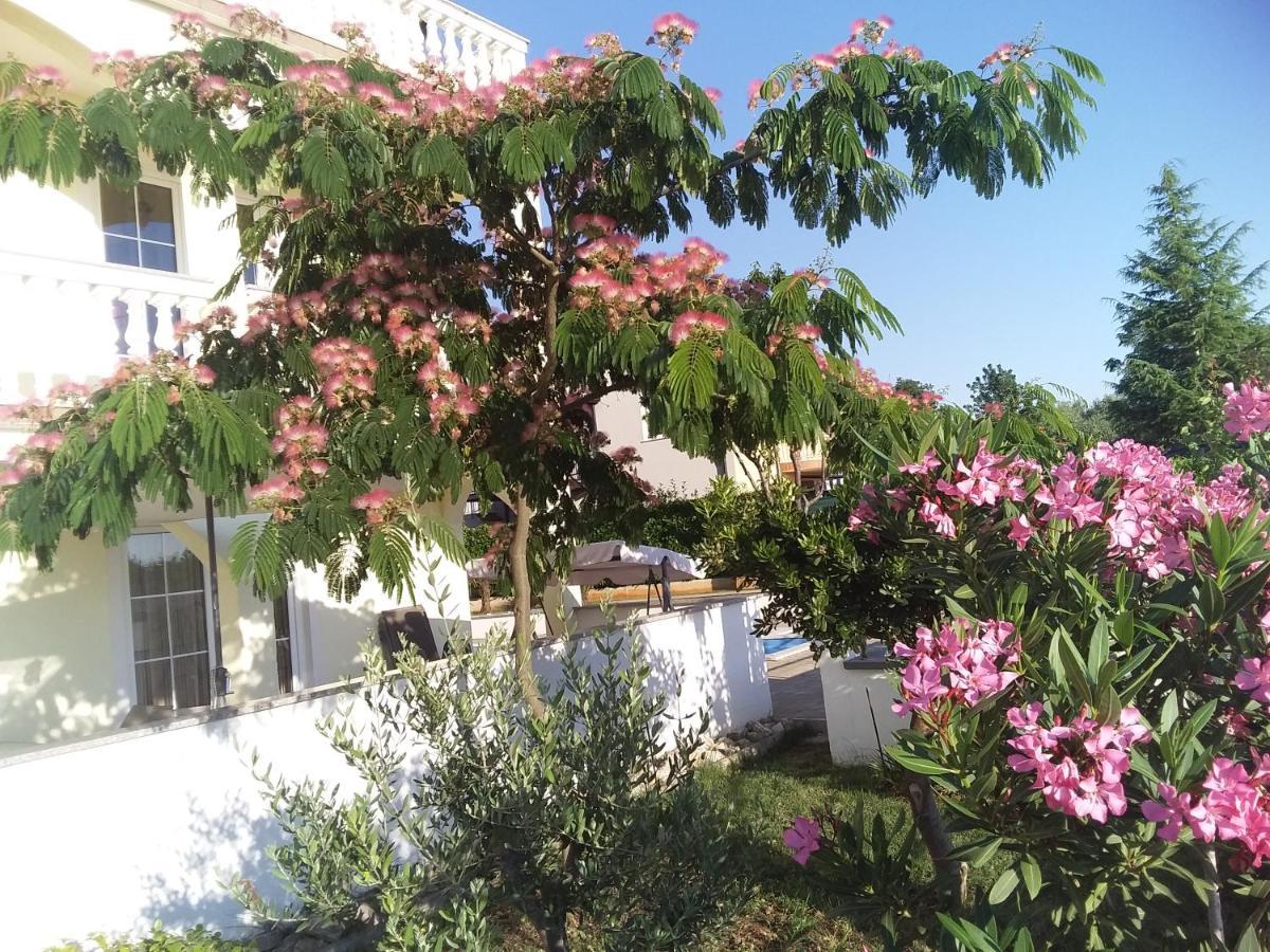 House Apartments Ariamare Пореч Экстерьер фото