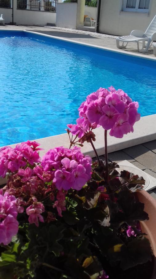 House Apartments Ariamare Пореч Экстерьер фото